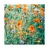 Eva | Nature Floral Meadow Garden | Photography Botanical Spring Bohemian Flowers (Print Only) thumbnail