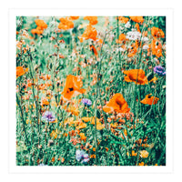 Eva | Nature Floral Meadow Garden | Photography Botanical Spring Bohemian Flowers (Print Only)