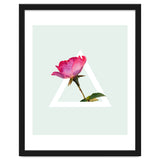Rose thumbnail