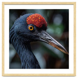 Black Crane Bird Head With Red Crown And Raindrops thumbnail