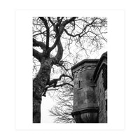 Stark Contrast (Print Only)