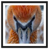 Close Up Of A Pelican's Beak With Water Droplets thumbnail