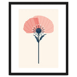 Pink Half Poppy thumbnail
