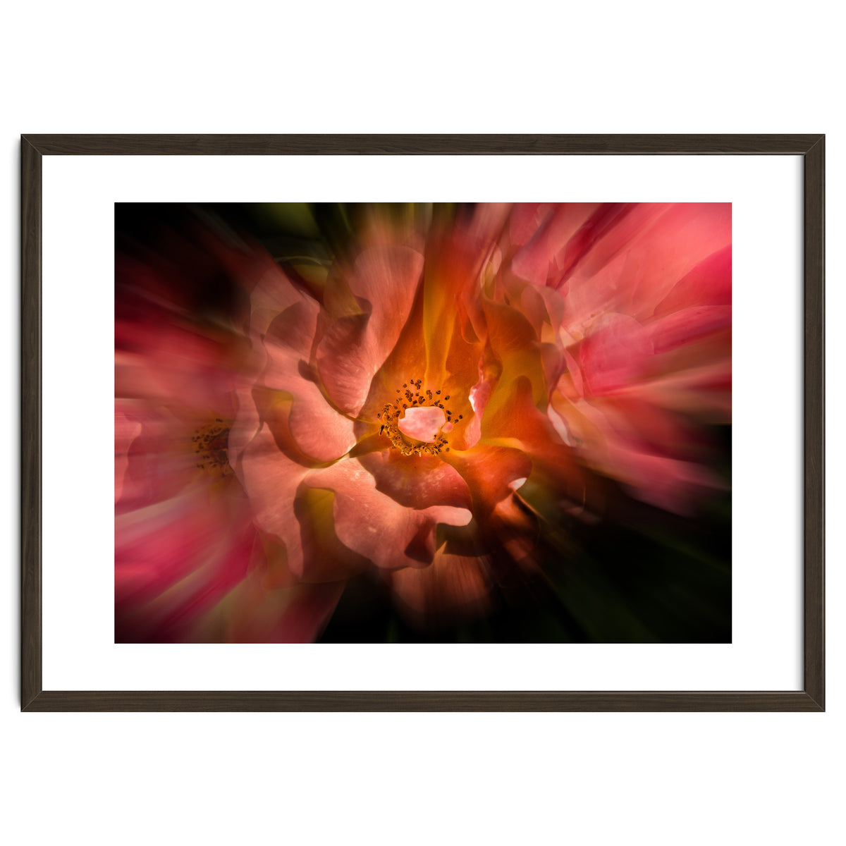 Backyard Flowers No 40 Color Flow Version