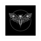 Deaths Head Moth (Print Only) thumbnail