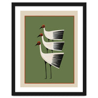 Striped Bird Trio I