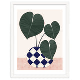 Houseplant thumbnail