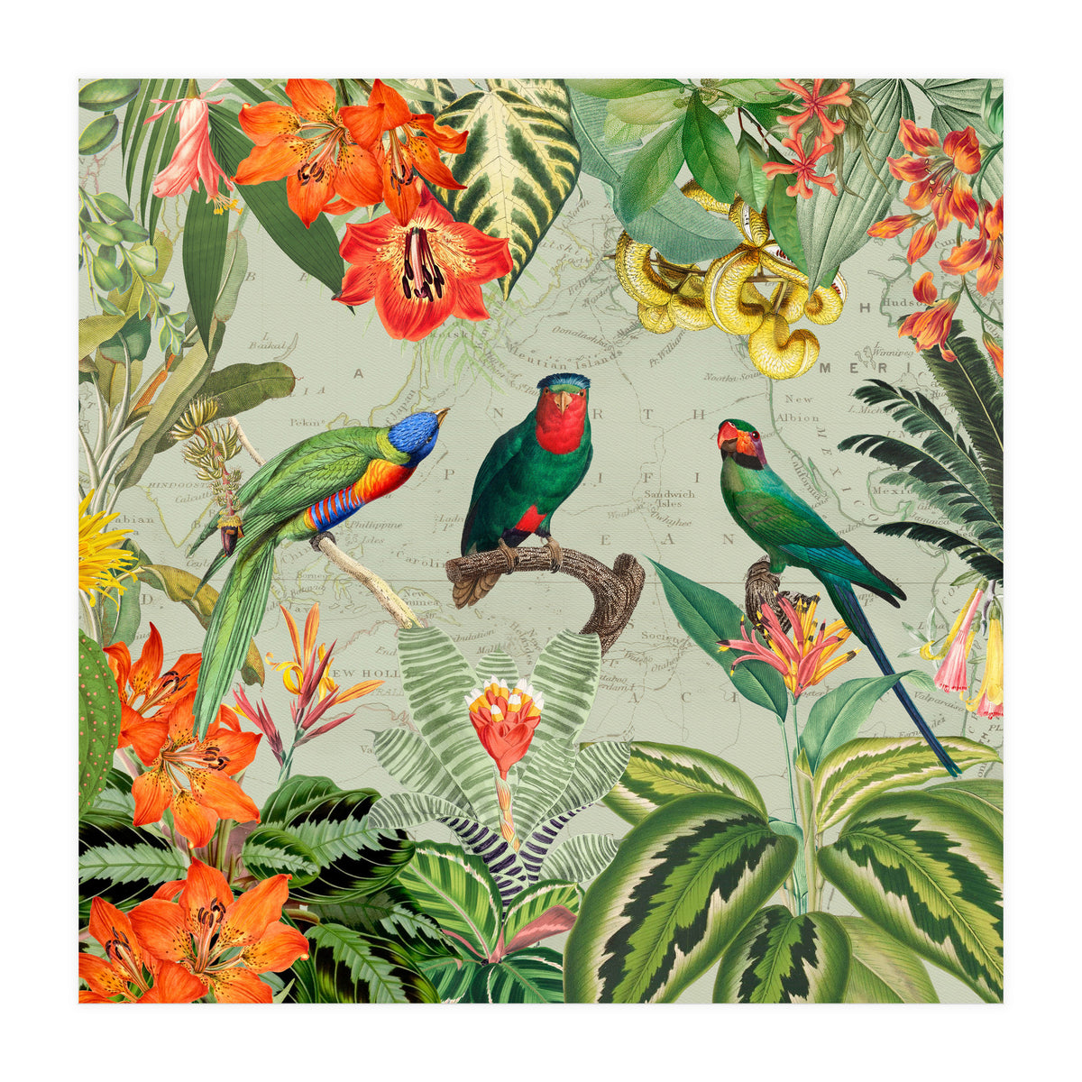 Exotic Parrots Jungle Landscape (Print Only)