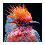 Close Up Of Exotic Bird With Vibrant Plumage (Print Only) thumbnail