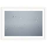 Flying seagulls in the winter sky thumbnail