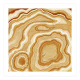 Golden Agate Texture 05 (Print Only) thumbnail