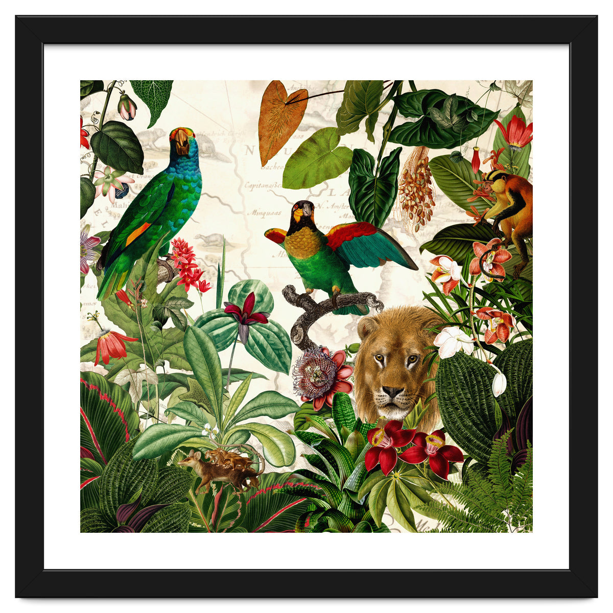 Exotic Lush Jungle And Wild Animals Landscape