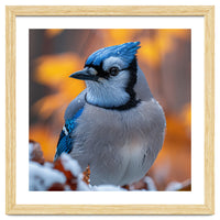 Blue Jay Bird In Winter Snowfall And Leaves
