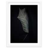 Leaves No 3 Color Version thumbnail