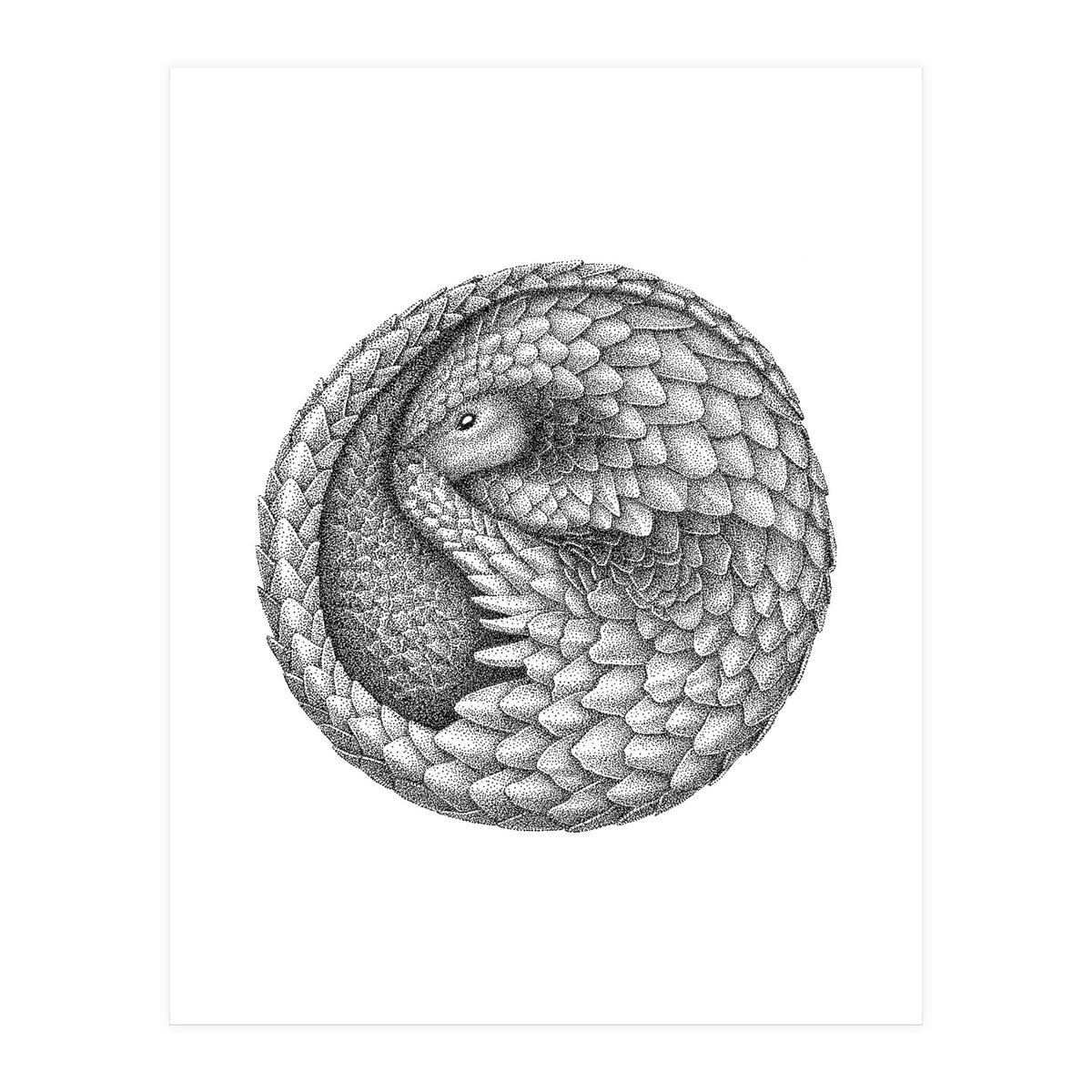 Pangolin no. 2 (Print Only)
