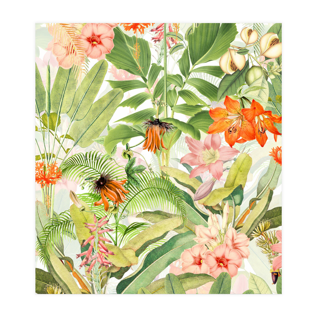 Luxurious Botanical Flower Jungle (Print Only)
