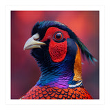 Close Up Pheasant Bird Head Detailed Feathers (Print Only) thumbnail