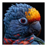 Close Up Vibrant Parrot Eye  (Print Only) thumbnail