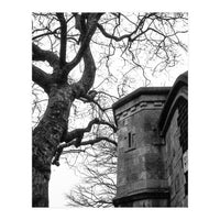 Stark Contrast (Print Only)
