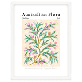 Australian Flora: Wax Flower thumbnail