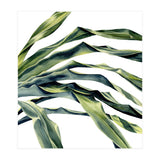 Green Palm Leaves (Print Only) thumbnail