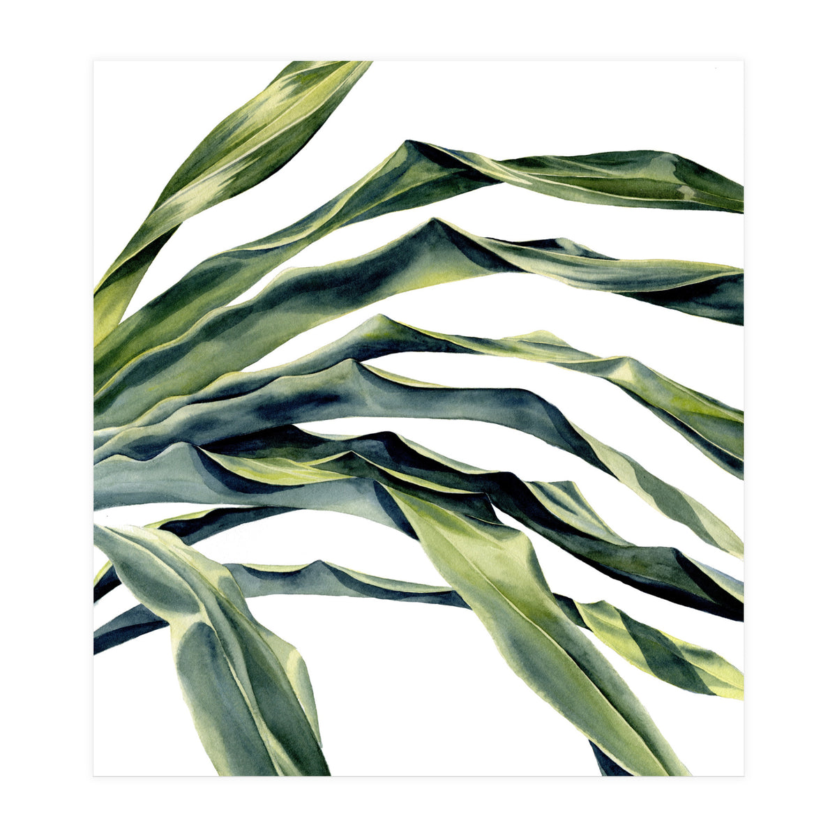 Green Palm Leaves (Print Only)
