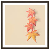 Maple In Pastel thumbnail