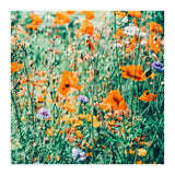 Eva | Nature Floral Meadow Garden | Photography Botanical Spring Bohemian Flowers (Print Only) thumbnail