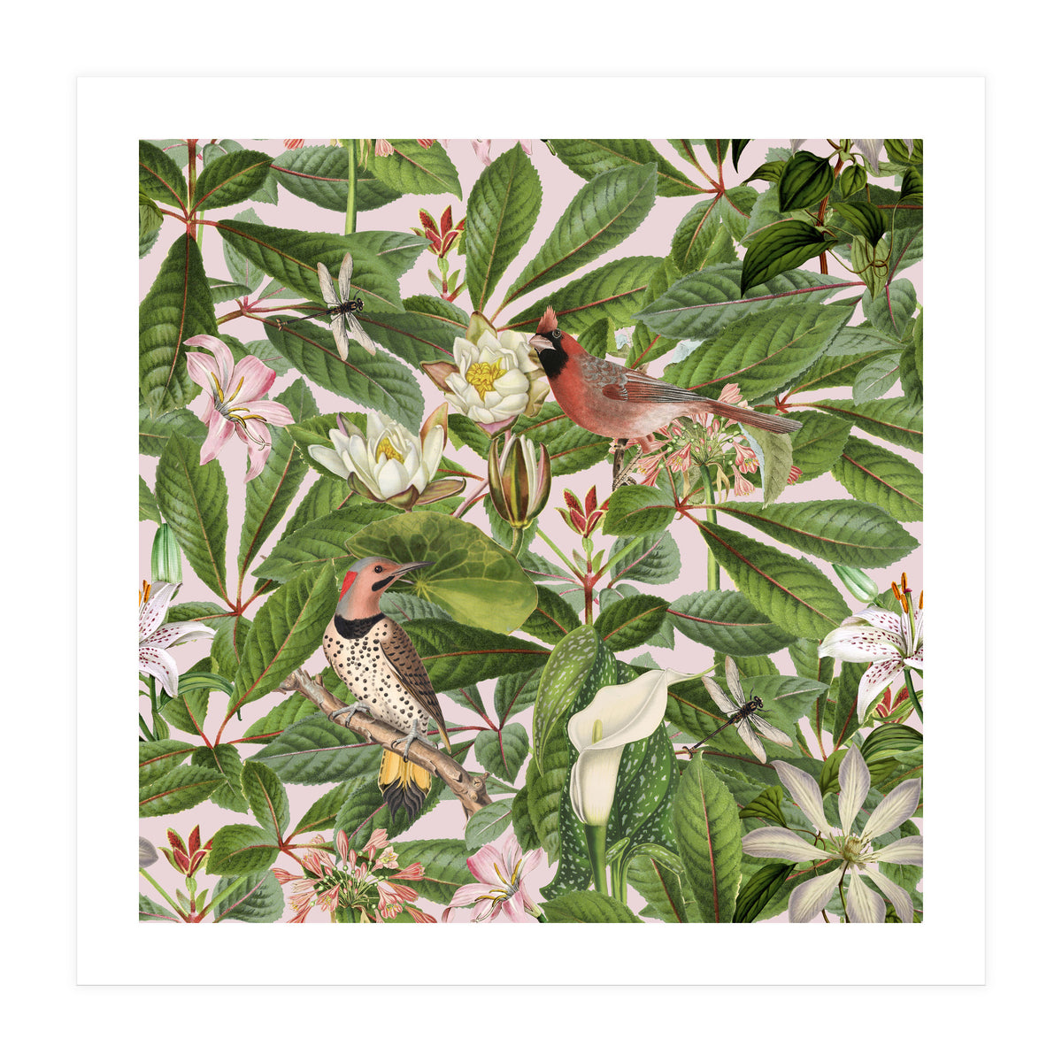 Tropical Bird Garden (Print Only)