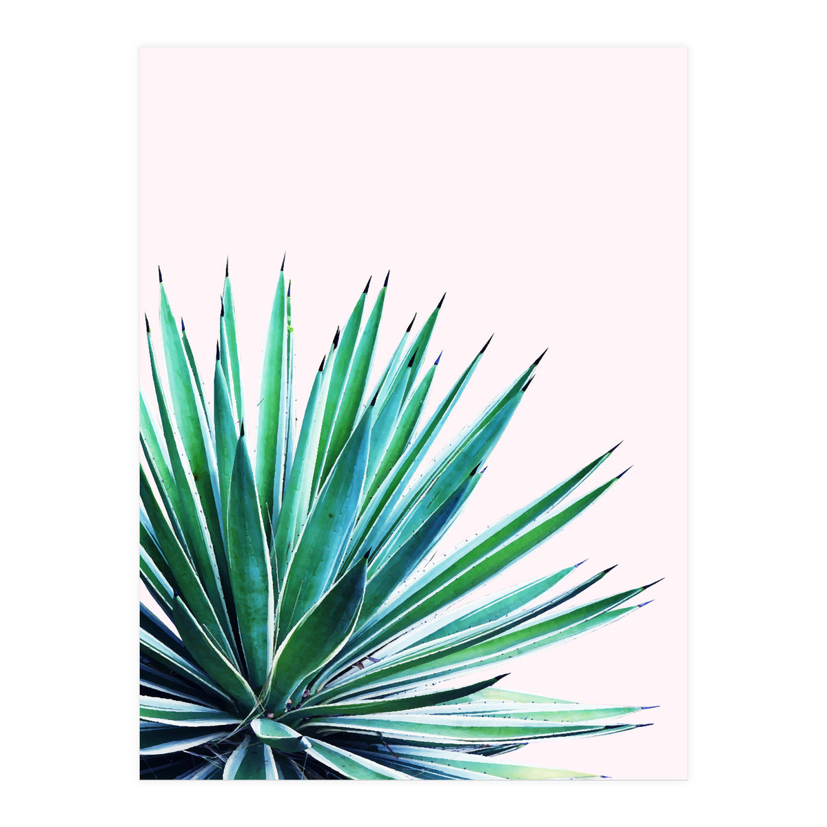 Agave Love #society6 #decor #buyart (Print Only)