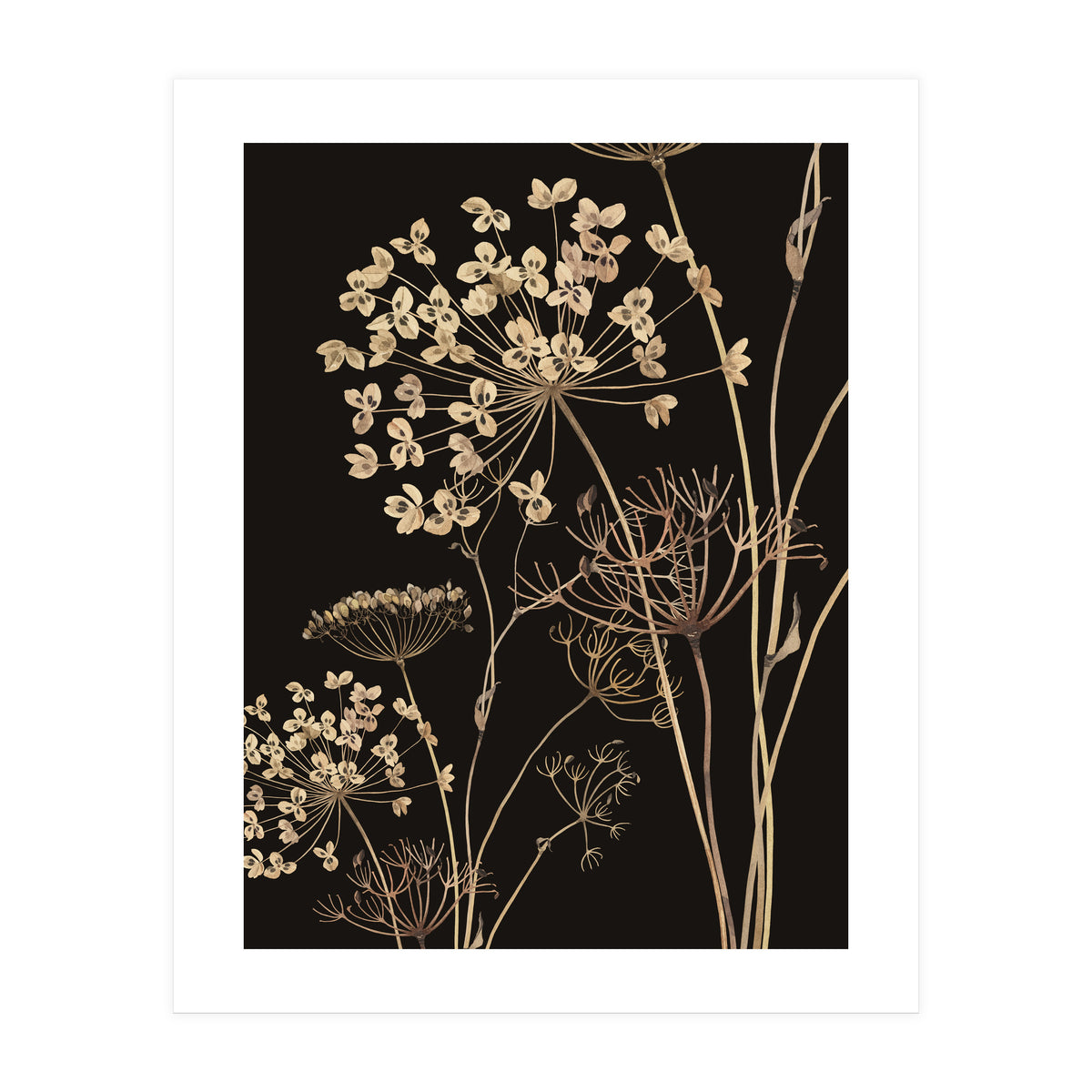 Wildflowers I (Print Only)