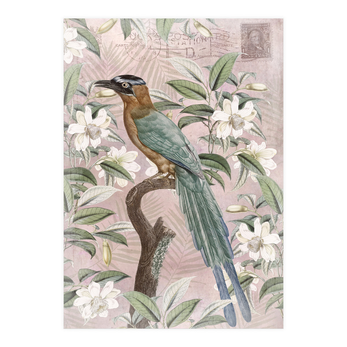 Exotic Bird (Print Only)