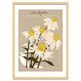 Flower Market Los Angeles Echinacea thumbnail