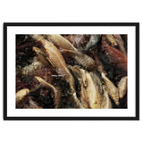 Fish01 thumbnail