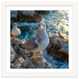 Seagull Standing On Rocks Near Water thumbnail