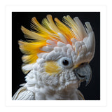 Close Up Of A Cockatoo With Yellow Crest (Print Only) thumbnail