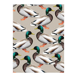 Mallards (Print Only) thumbnail
