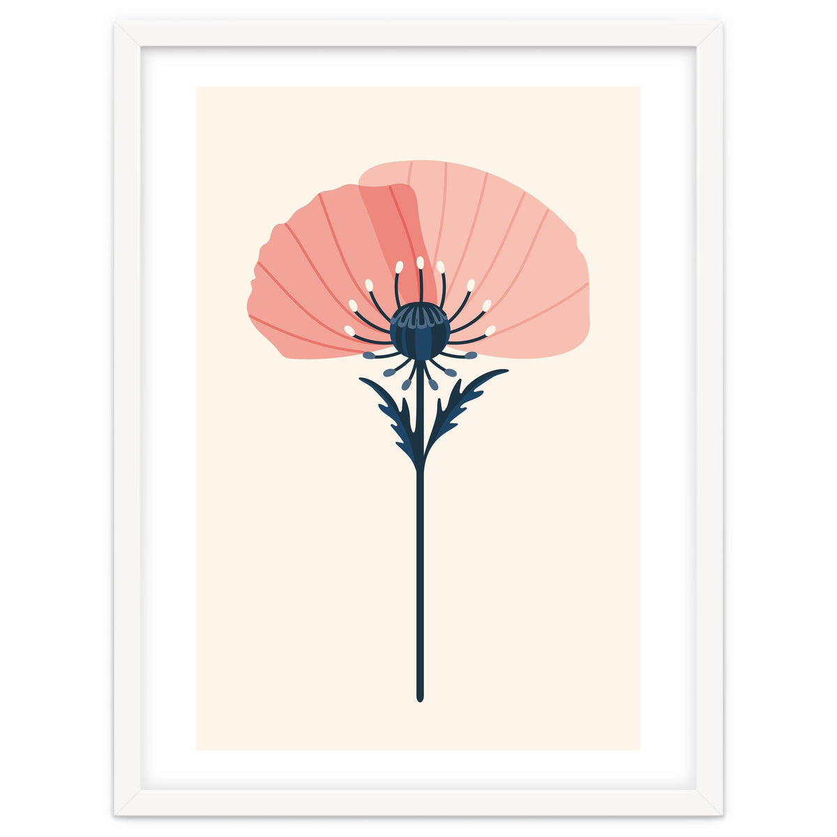 Pink Half Poppy