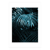 Blue Jungle Palm Ii (Print Only) thumbnail