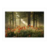 The poppy forest (Print Only) thumbnail