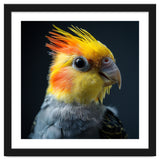 Cockatiel Parrot Bird Head thumbnail