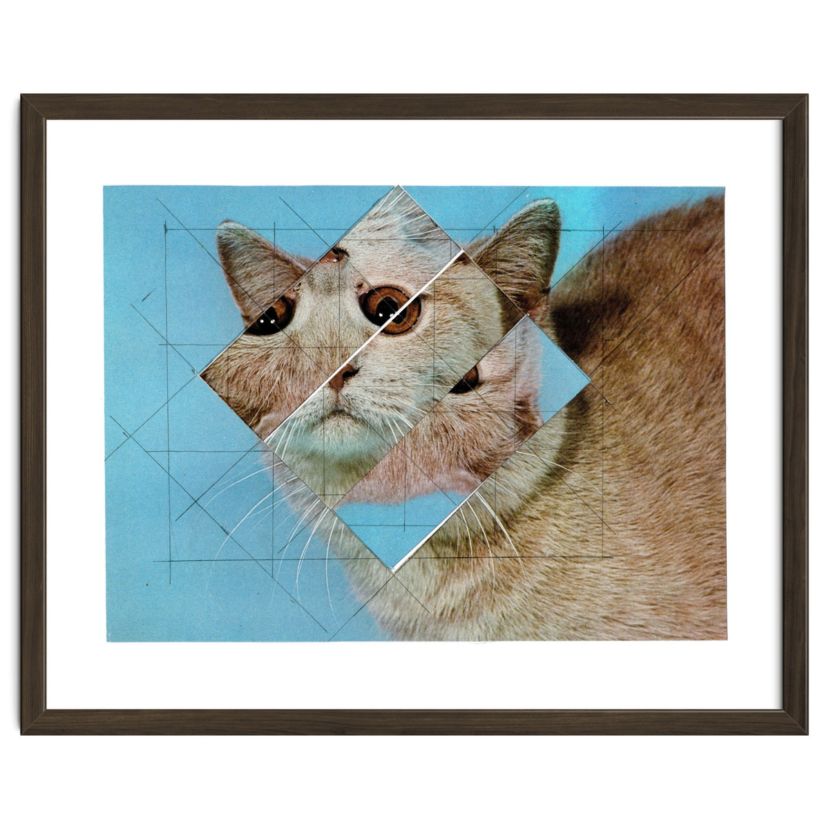 The Depressive Cat Am Abend Bekommt Den Blues