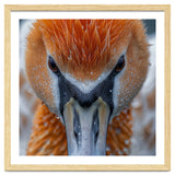 Close Up Of A Pelican's Beak With Water Droplets thumbnail