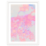 Chamomile thumbnail