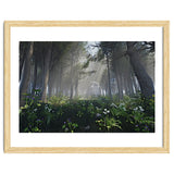 Art In The Forest thumbnail