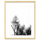 Miminalist Palm thumbnail