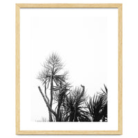 Miminalist Palm