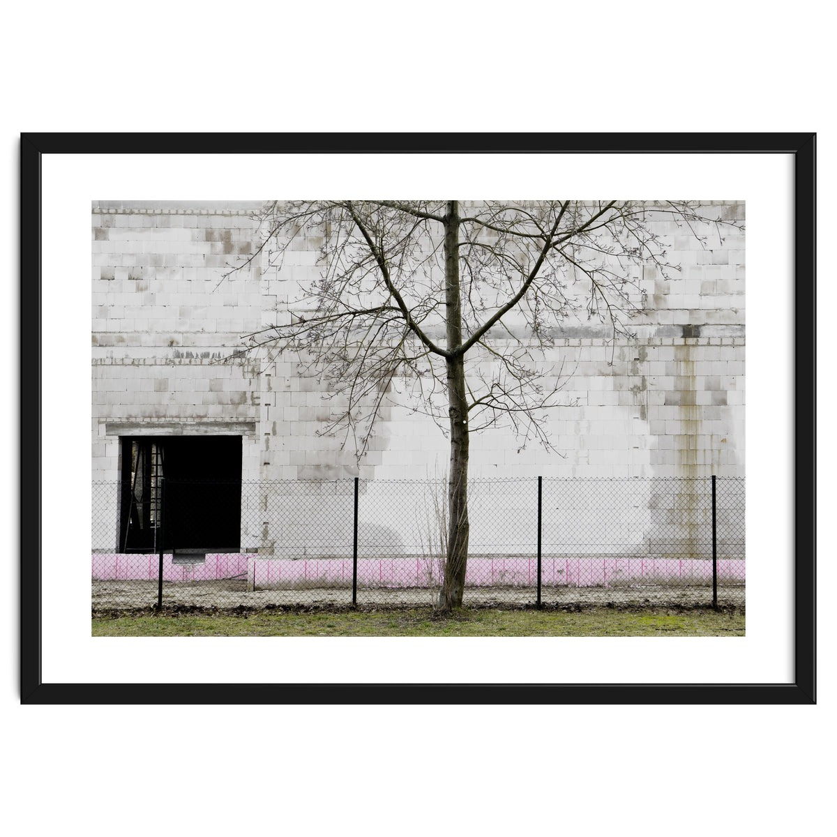 A tree in front of the wall