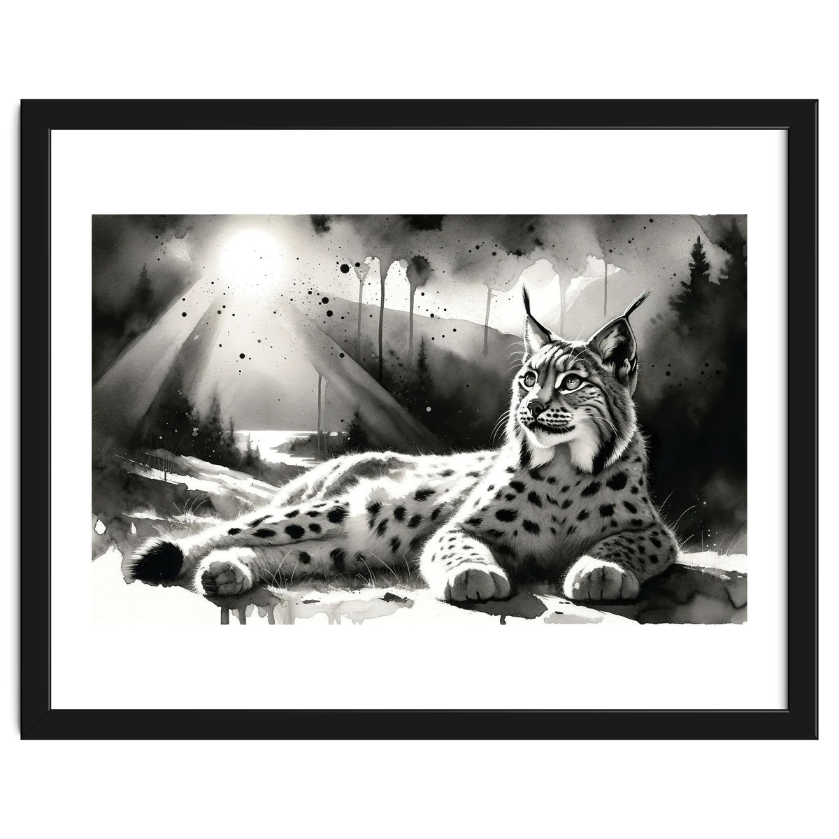 Lynx Resting In Sunlight
