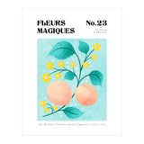 Magical Flowers No.23 Apricot Blossom (Print Only) thumbnail